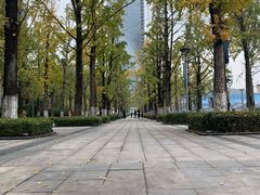 -百林公园-两江幸福广场