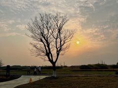 -良渚古城遗址公园