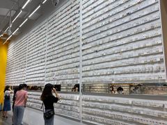 -KKV(深圳宏发大仟里店)