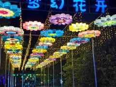-广西壮族自治区药用植物园
