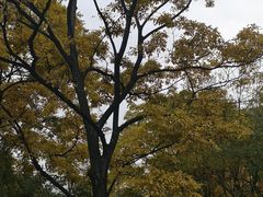 -云南师范大学(一二一西南联大校区)