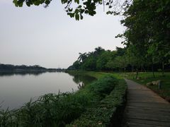 -南国桃园旅游度假区