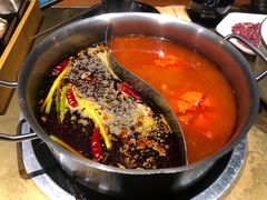 -手选潮汕鲜活牛肉火锅(二七广场店)