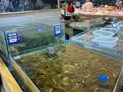 -阿毛饭店·宁波老字号(儿童公园旗舰店)