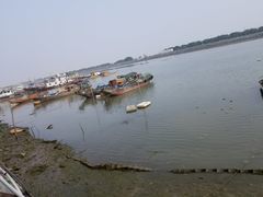 -大湾区中央湿地公园-十九涌