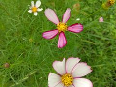 -成都中医药大学(温江校区)