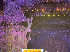 -灵玲国际马戏城