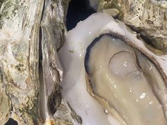 -烧蠔帮·湛江生蚝(茂南万达店)