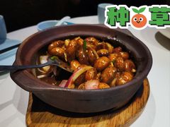 黑椒啫蘑菇-阿西娅食府(中关村店)