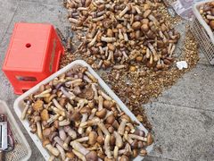 -小辣椒·川菜馆·羌家铜锅土火锅(茂县店)