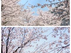-龙美术馆(西岸馆)