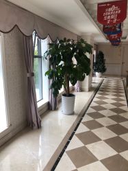 点击看大图 -昆明梦想医疗美容医院