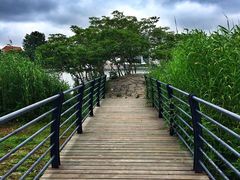 -美兰湖景区