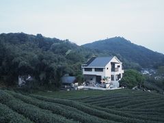 -阿巧茶庄