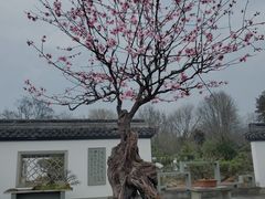 -杭州植物园
