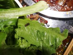 -小王少龙火锅(沙南街店)
