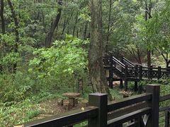 -白马涧龙池景区