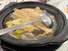 -姚林轩