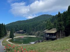 -武陵山森林公园