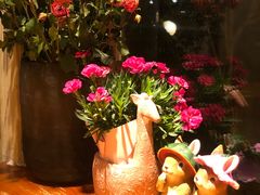 -萤火虫咖啡(后海店)