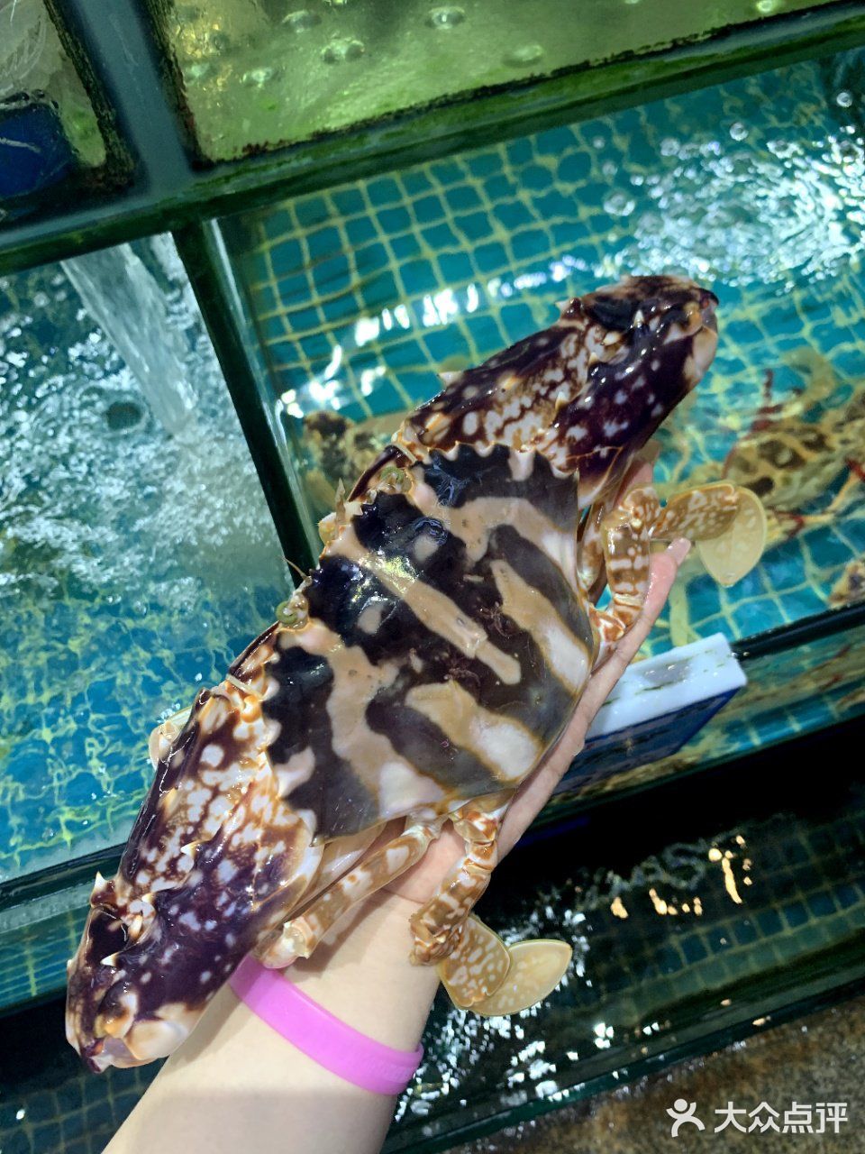 现点现做的海鲜店，就是不一般  