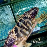 现点现做的海鲜店，就是不一般  