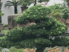 -水绘园