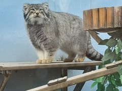 -青藏高原野生动物园