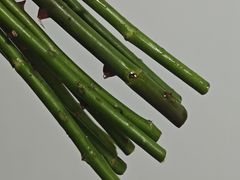 -盒马鲜生(红莲店)
