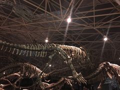 -世界恐龙谷景区