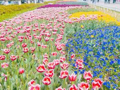 -玄武湖景区-情侣园游乐场