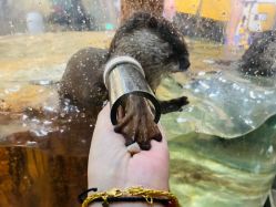 -Zoolung Zoolung动物主题公园(海信广场店)