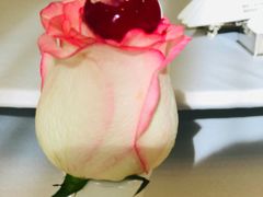 -虹御轩·传承江浙菜(虹桥店)