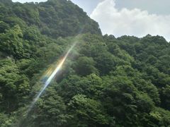 -王顺山国家森林公园