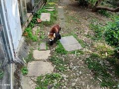 -南宁市动物园