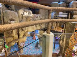 -卡通尼·Safari非洲探索乐园·生日会(金桥国际商业广场店)