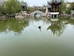 -宛园
