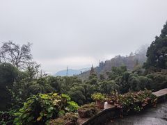 -莫干山风景区