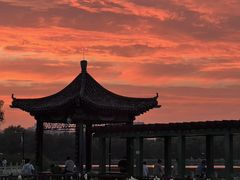 -莲花池公园