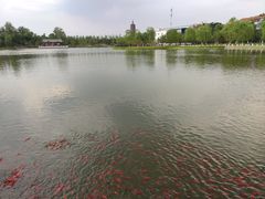 -西海子公园