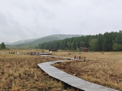 -塞罕坝国家级自然保护区