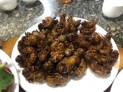 -夏家大锅台炖鱼馆
