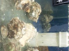 -雅逸居海鲜小厨