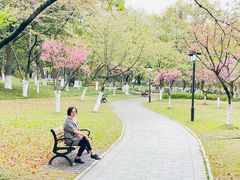 -范蠡湖公园