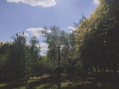 -莫子山公园