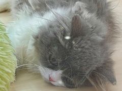 -万达广场(南宁青秀店)