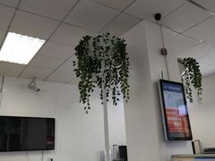 -中国电信(亚运村营业厅)