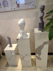 -紫洁俪方（北京）医疗美容