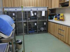 -康乐宝动物医院