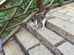 -青岩寺风景区